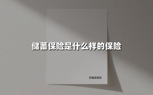 储蓄保险是什么样的保险(2025最新)