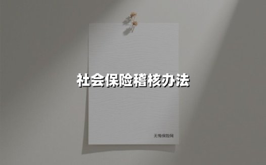 社会保险稽核办法