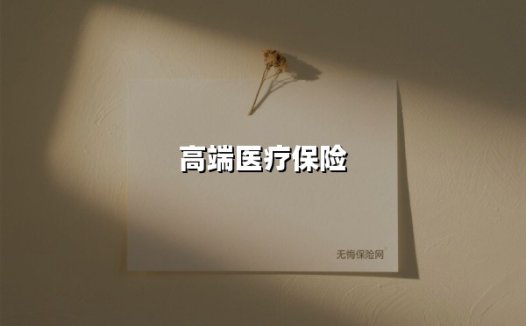 高端医疗保险