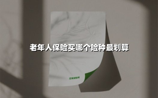 老年人保险买哪个险种最划算