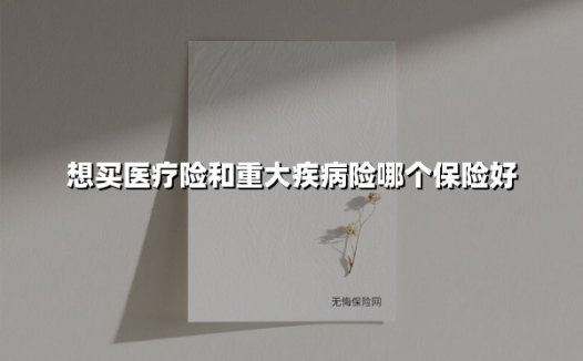 想买医疗险和重大疾病险哪个保险好