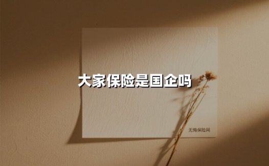 大家保险是国企吗