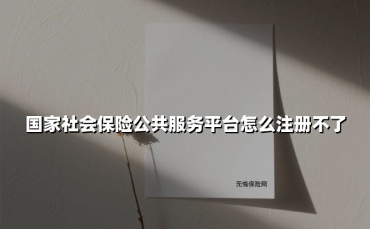 国家社会保险公共服务平台怎么注册不了