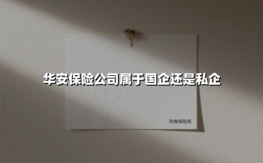 华安保险公司属于国企还是私企