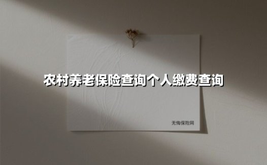 农村养老保险查询个人缴费查询