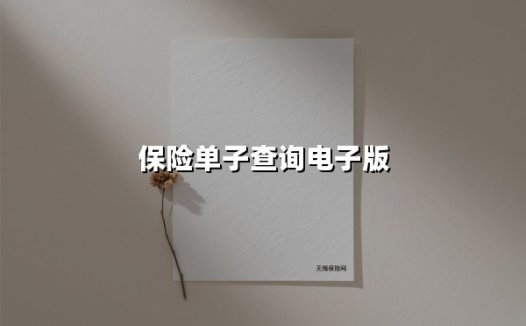 保险单子查询电子版