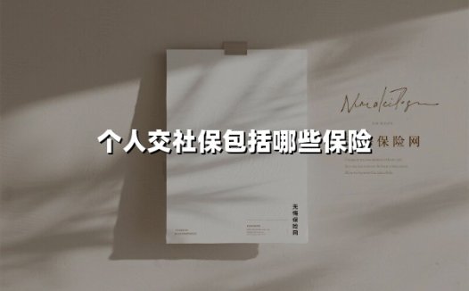 个人交社保包括哪些保险