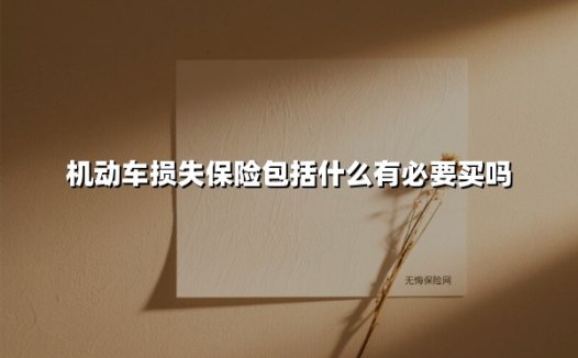 机动车损失保险包括什么有必要买吗