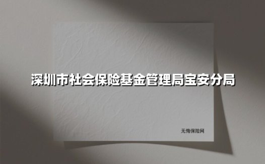 深圳市社会保险基金管理局宝安分局