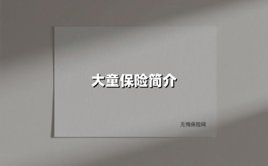 大童保险简介