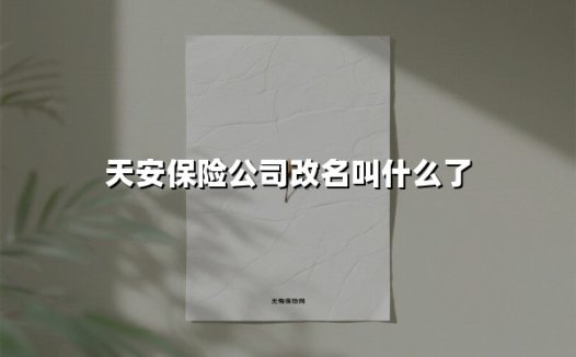 天安保险公司改名叫什么了