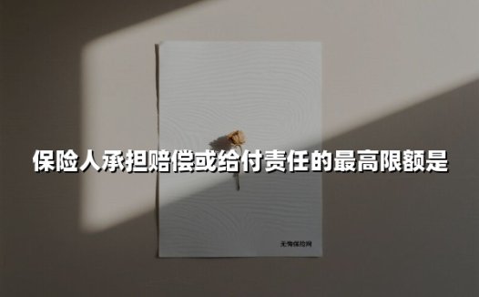 保险人承担赔偿或给付责任的最高限额是