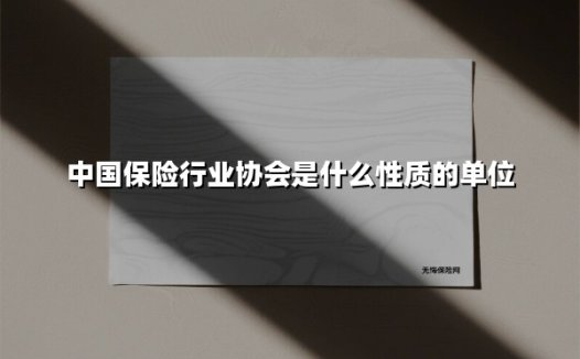 中国保险行业协会是什么性质的单位