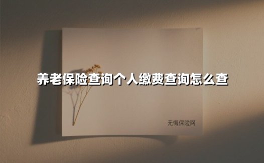 养老保险查询个人缴费查询怎么查