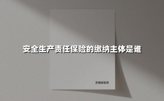 安全生产责任保险的缴纳主体是谁
