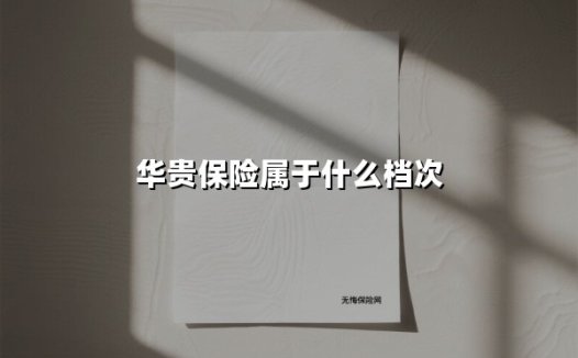 华贵保险属于什么档次