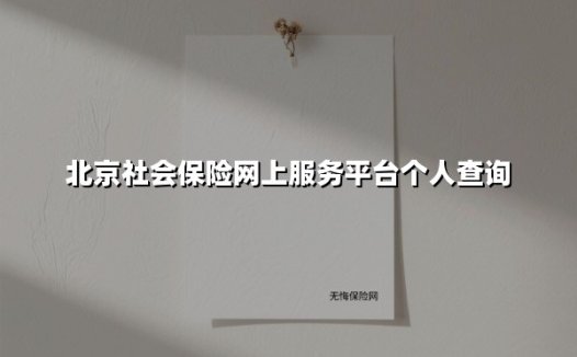 北京社会保险网上服务平台个人查询