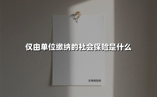 仅由单位缴纳的社会保险是什么