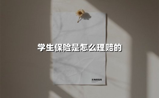 学生保险是怎么理赔的