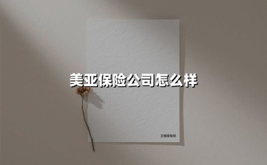 美亚保险公司怎么样