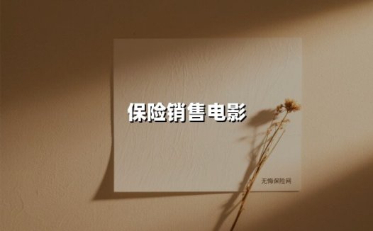 保险销售电影