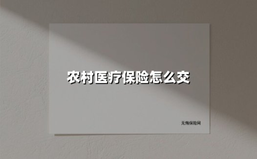 农村医疗保险怎么交