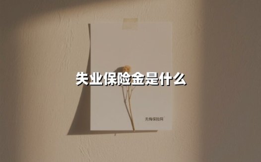 失业保险金是什么
