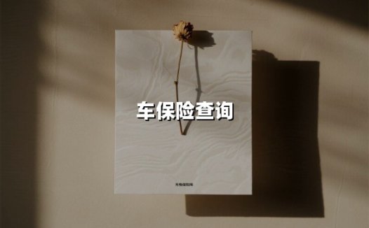 车保险查询(2025最新)