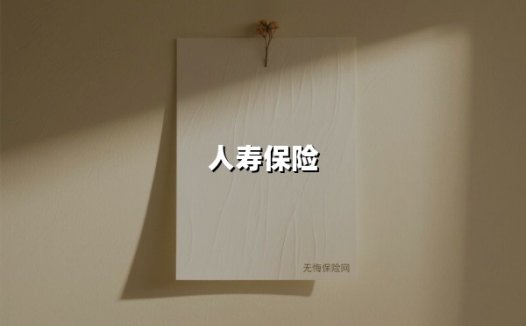 人寿保险(2025最新)