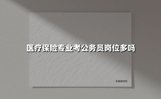 医疗保险专业考公务员岗位多吗(2025最新)