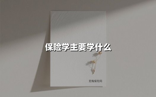保险学主要学什么(2025最新)