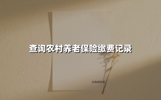 查询农村养老保险缴费记录(2025最新)