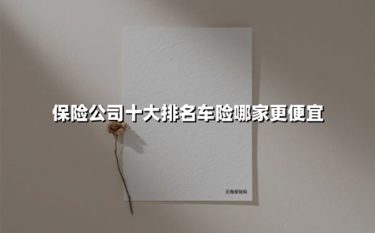 保险公司十大排名车险哪家更便宜(2025最新)