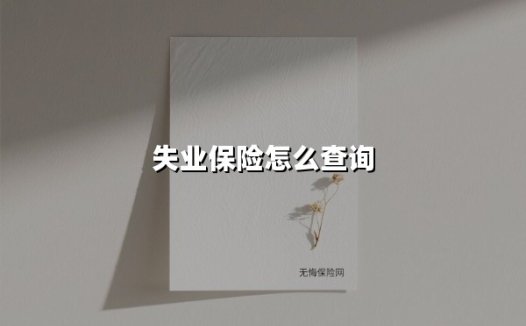 失业保险怎么查询(2025最新)
