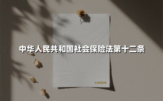 中华人民共和国社会保险法第十二条(2025最新)