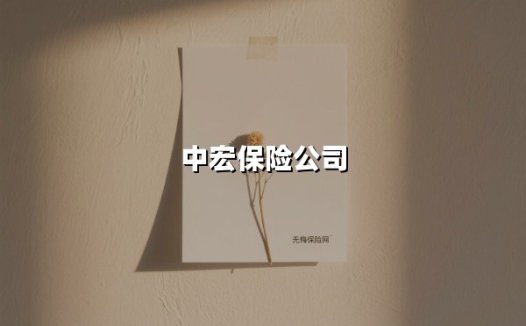 中宏保险公司(2025最新)