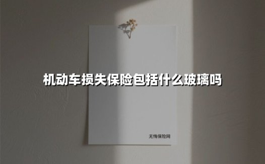 机动车损失保险包括什么玻璃吗(2025最新)