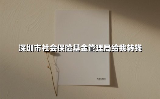 深圳市社会保险基金管理局给我转钱(2025最新)