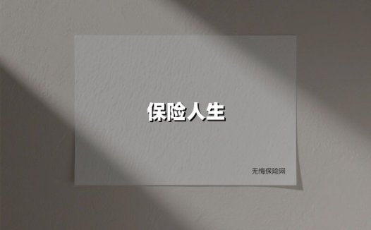 保险人生(2025最新)