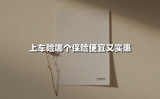 上车险哪个保险便宜又实惠(2025最新)