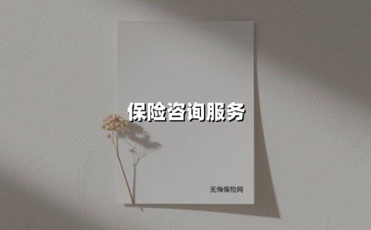 保险咨询服务(2025最新)