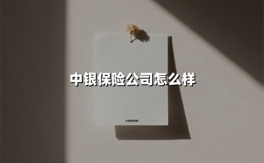 中银保险公司怎么样(2025最新)