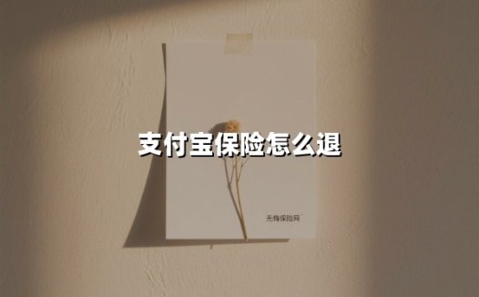 支付宝保险怎么退(2025最新)