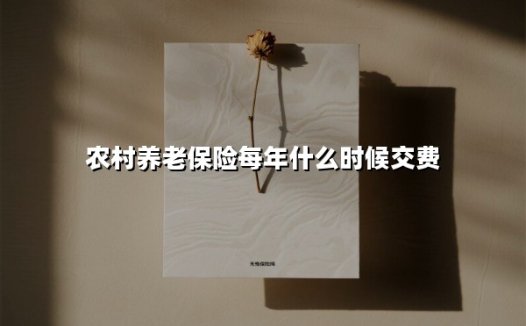 农村养老保险每年什么时候交费(2025最新)
