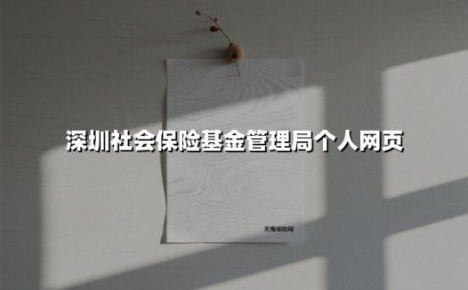 深圳社会保险基金管理局个人网页(2025最新)