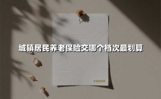 城镇居民养老保险交哪个档次最划算(2025最新)