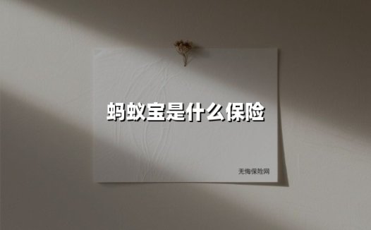 蚂蚁宝是什么保险(2025最新)