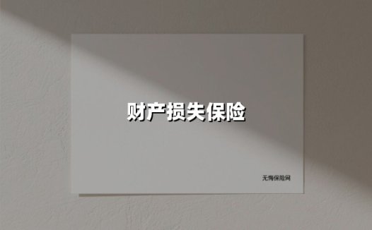 财产损失保险(2025最新)