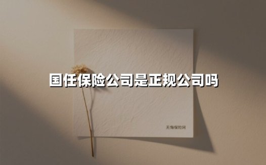 国任保险公司是正规公司吗(2025最新)