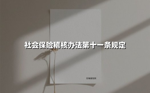 社会保险稽核办法第十一条规定(2025最新)